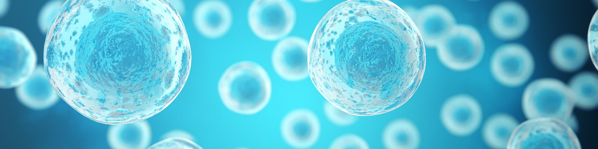 explore-cells-biotech-home-desktop
