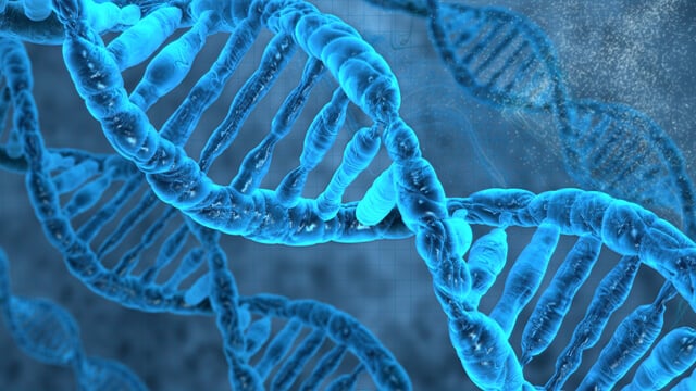 Human and animal therapeutics production 640x360