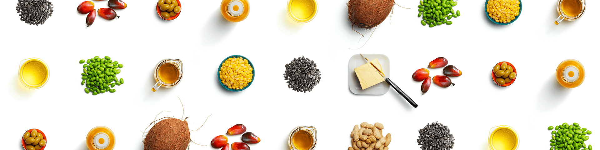 Key-visuals herobanner outline edibleoil EN