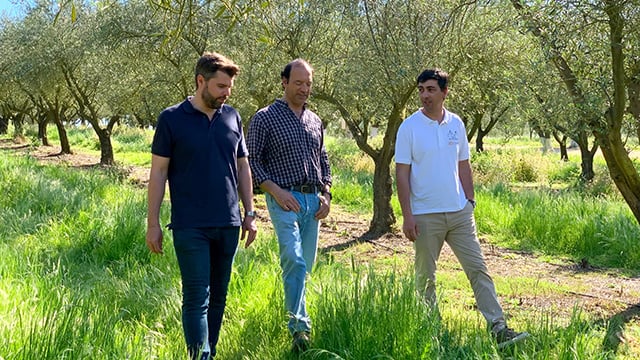 Alfa Laval olive oil processing.jpg